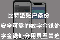 比特派账户备份 领有一款安全可靠的数字金钱处分用具至关迫切