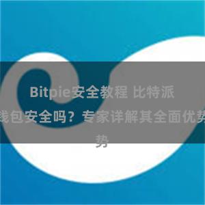 Bitpie安全教程 比特派钱包安全吗？专家详解其全面优势