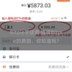 Bitpie手续费 选择Bitpie的原因，你知道吗？