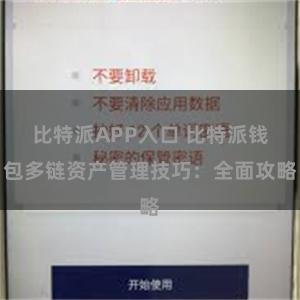 比特派APP入口 比特派钱包多链资产管理技巧：全面攻略