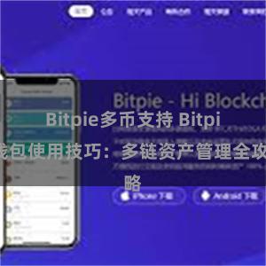 Bitpie多币支持 Bitpie钱包使用技巧：多链资产管理全攻略