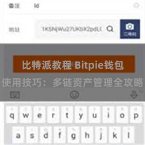 比特派教程 Bitpie钱包使用技巧：多链资产管理全攻略