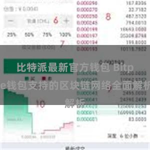 比特派最新官方钱包 Bitpie钱包支持的区块链网络全面解析