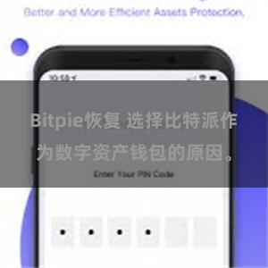 Bitpie恢复 选择比特派作为数字资产钱包的原因。