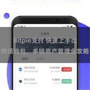 Bitpie支付 快速上手比特派钱包，多链资产管理全攻略