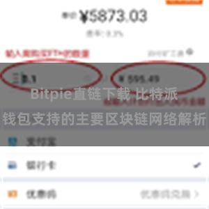 Bitpie直链下载 比特派钱包支持的主要区块链网络解析