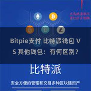 Bitpie支付 比特派钱包 VS 其他钱包：有何区别？