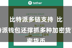 比特派多链支持  比特派钱包还撑抓多种加密货币