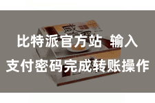 比特派官方站  输入支付密码完成转账操作